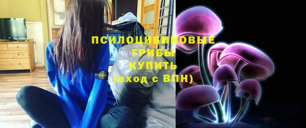 ГАЛЛЮЦИНОГЕННЫЕ ГРИБЫ Сафоново