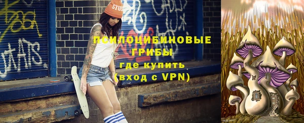 стаф Саяногорск