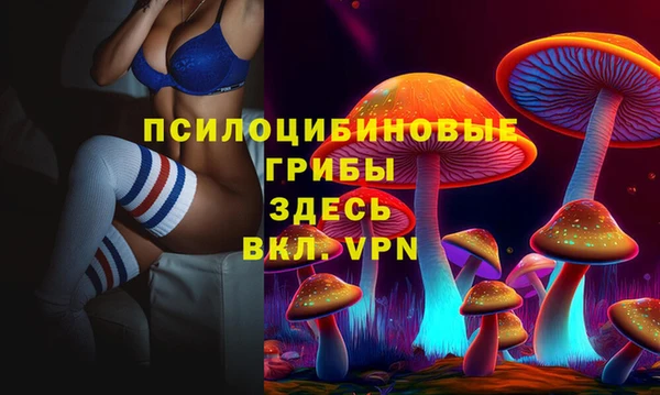 не бодяженный Рославль